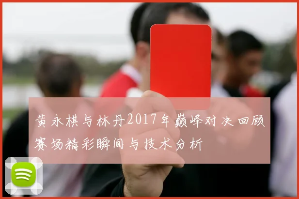 黄永棋与林丹2017年巅峰对决回顾赛场精彩瞬间与技术分析