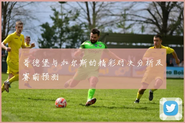 哥德堡与加尔斯的精彩对决分析及赛前预测