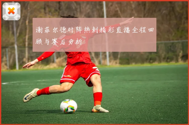 谢菲尔德对阵热刺精彩直播全程回顾与赛后分析