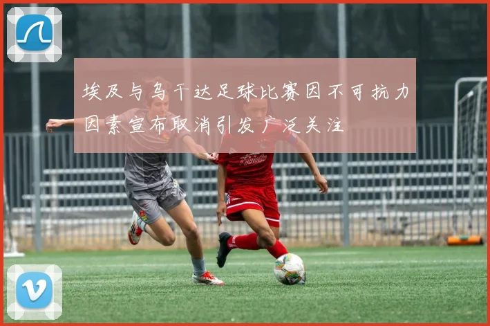 埃及与乌干达足球比赛因不可抗力因素宣布取消引发广泛关注