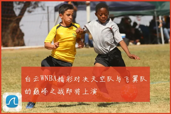 白云WNBA精彩对决天空队与飞翼队的巅峰之战即将上演