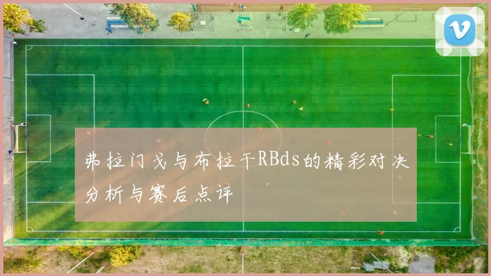 弗拉门戈与布拉干RBds的精彩对决分析与赛后点评