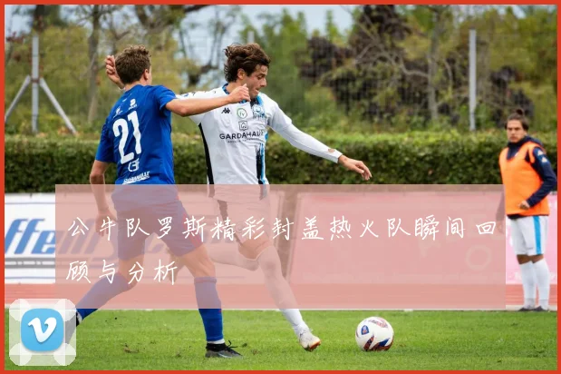 公牛队罗斯精彩封盖热火队瞬间回顾与分析